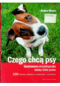 Czego chcą psy