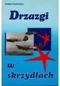 Drzazgi w skrzydłach