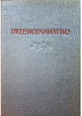 Drzewoznawstwo