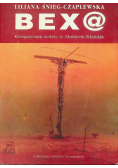 Bex@ Korespondencja mailowaze Zdzisławem Beksińskim