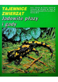 Tajemnice zwierząt Jadowite płazy i gady