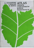 Atlas chorób i szkodników roślin warzywnych