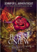 Boski gniew