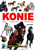 Konie rasy, pielęgnacja, jeździectwo