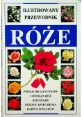Ilustrowany przewodnik róże