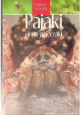 Pająki i inne pajęczaki. Spotkania z przyrodą