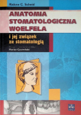 Anatomia stomatologiczna Woelfela i jej związek ze stomatologią