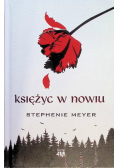 Księżyc w nowiu