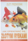 Jak Opiekować Się Złotymi Rybkami
