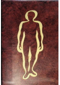 Anatomia człowieka repetytorium