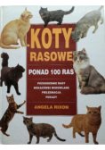 Koty rasowe