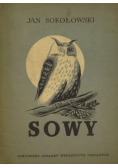Sowy