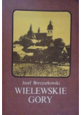 Wielewskie Góry
