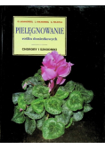 Pielęgnowanie roślin doniczkowych