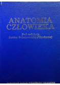 Anatomia człowieka