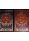 Odyseja / Iliada