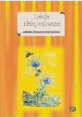 Lekcje nitką malowane