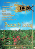Pszczoły leczą