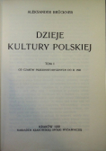 Dzieje kultury polskiej od czasów przedhistorycznych do r. 1506 Tom I