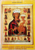 Bieszczadzkie Sanktuarium Maryjne. Losy Cudownej Ikony