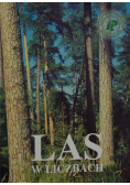 Las w liczbach