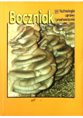 Boczniak Technologia uprawy i przetwarzania