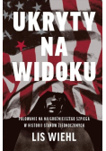 Ukryty na widoku