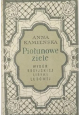 Piołunowe ziele