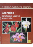 Orchidee amatorska uprawa storczyków