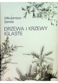 Drzewa i krzewy iglaste