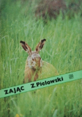 Zając