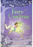Fairy Unicorns The Magic Forest