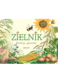 Zielnik Rośliny uprawne