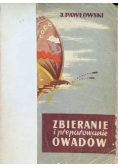 Zbieranie i preparowanie owadów