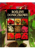 Rośliny doniczkowe Poradnik encyklopedyczny od A do Z