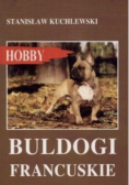 Buldogi francuskie