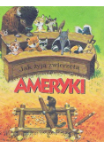 Jak żyją zwierzęta ameryki