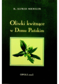 Oliwki kwitnące w Domu Pańskim