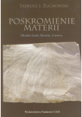 Poskromienie materii