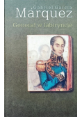 Generał w labiryncie