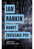 Nawet zdziczałe psy