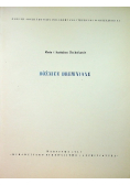 Bóżnice drewniane