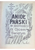 Anioł Pański w jedności z Ojcem Świętym