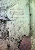 Dziennik internowanego z PWSSP. Stan wojenny - 1982