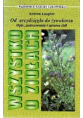 Od arcydzięgla do żywokostu