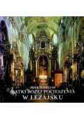 Sanktuarium Matki Bożej Pocieszenia w Leżajsku