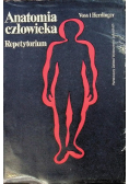 Anatomia człowieka repetytorium