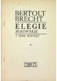 Elegie Bukowskie i inne wiersze