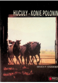 Hucuły - Konie Połonin