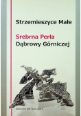 Strzemieszyce Małe srebrna perła Dąbrowy Górniczej